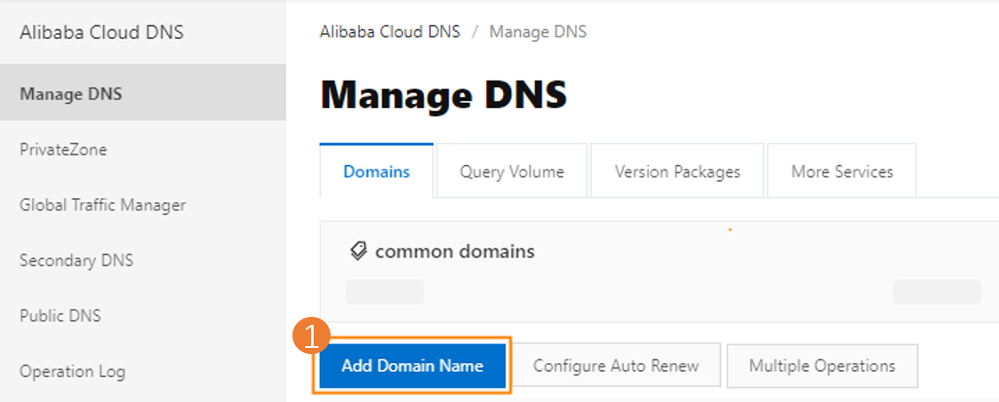 Click Add Domain Name