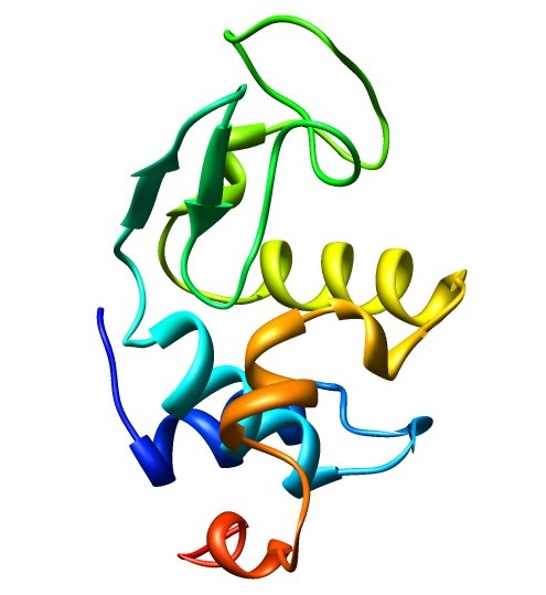 gromacs 算例1:水中的溶菌酶(lysozyme in water)